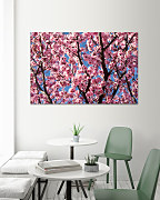 Obraz Ružové kvety na konároch stromu 1366